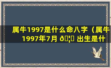 属牛1997是什么命八字（属牛1997年7月 🦈 出生是什 🌾 么命）